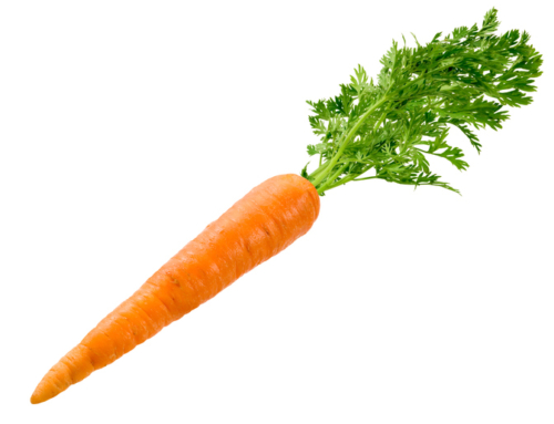 Carrot Health is keeping consumers at the center of the healthcare conversation